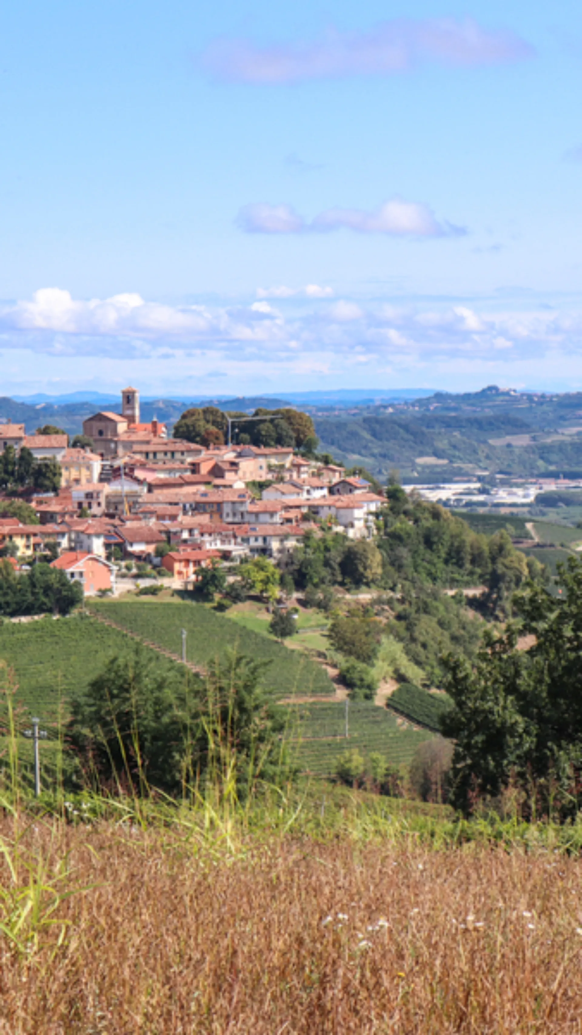 Panorama la Morra  im Piemont