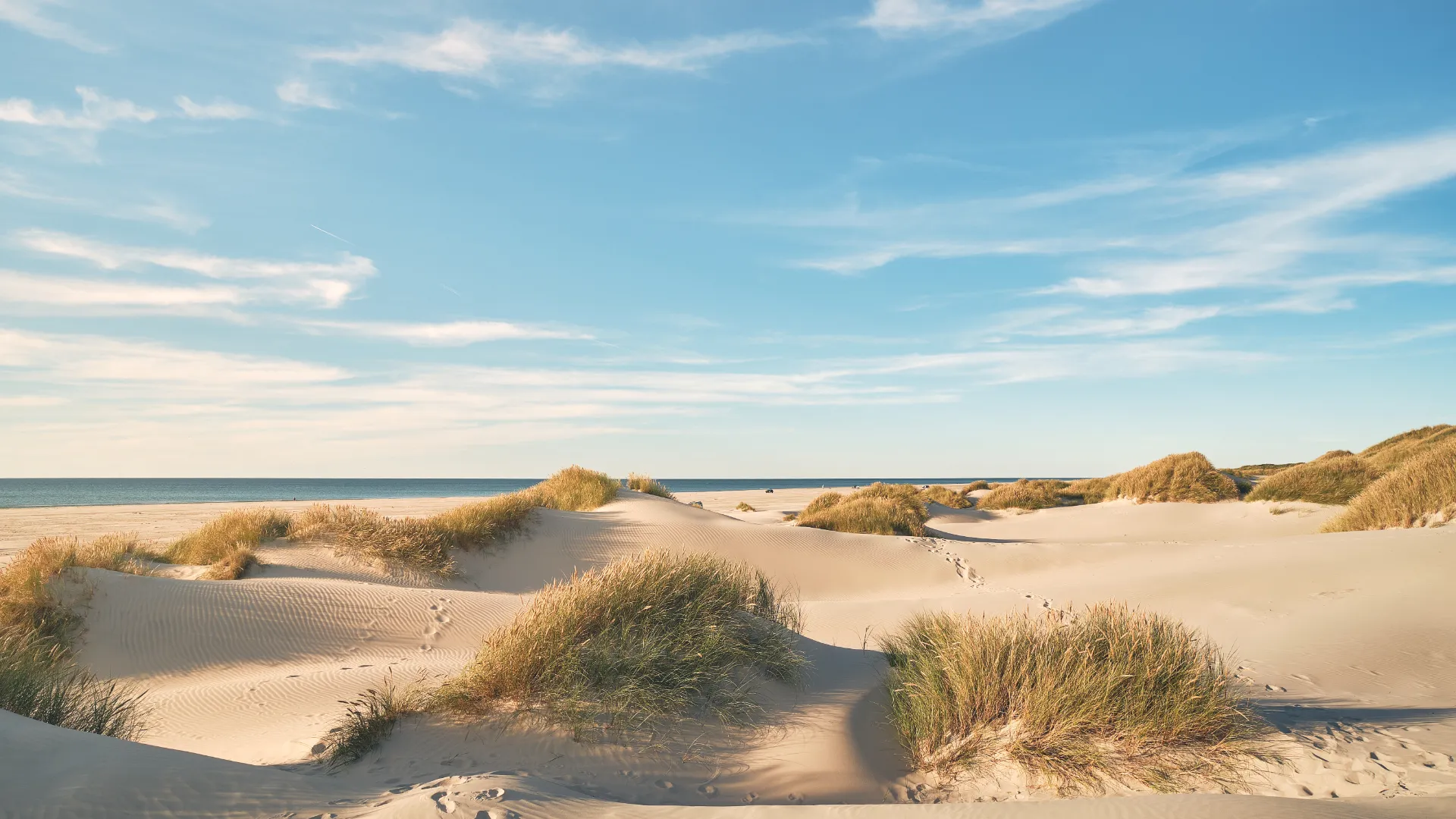 Une plage danoise en été