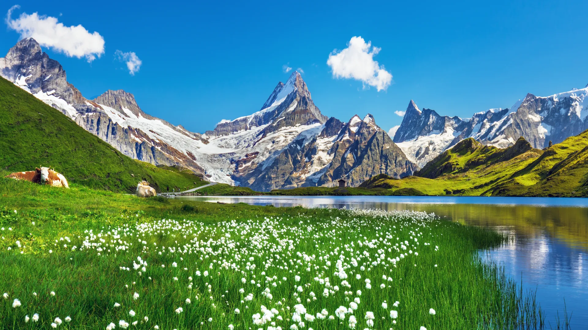 Lac de Bachalp, Suisse