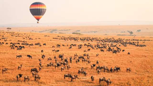 Masai Mara