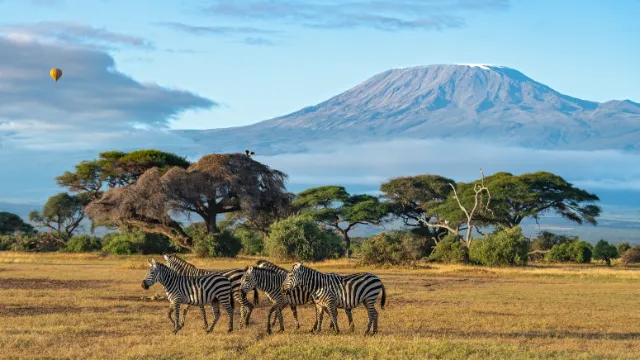 Amboseli-Nationalpark
